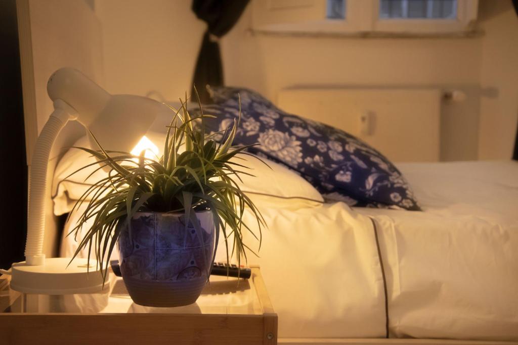 een potplant op een tafel naast een bed bij Flat Pen 56 in Rome