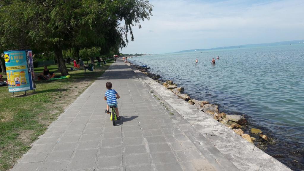 Príroda v okolí apartmánu