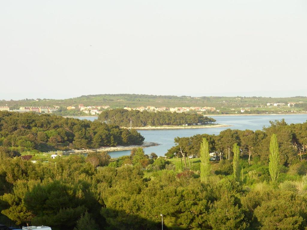 - une vue sur une rivière avec des arbres et une ville dans l'établissement BENTLEY - Sea-view - 2 bedroom apartment, à Premantura