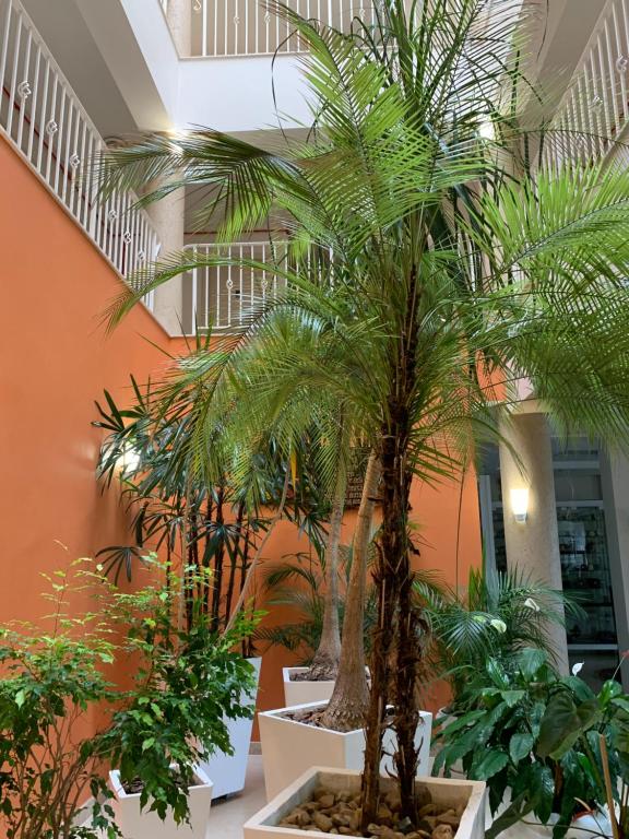  Hotel Fiorio