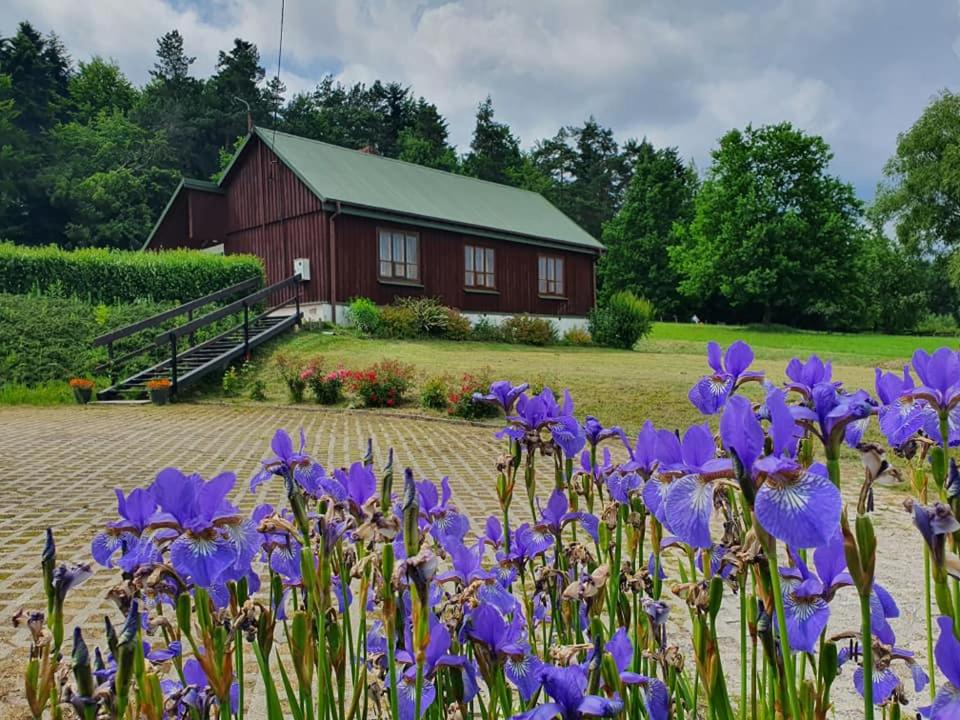 un granero rojo con flores púrpuras delante de él en Świętokrzyska Chata Biegacza, en Nowa Słupia