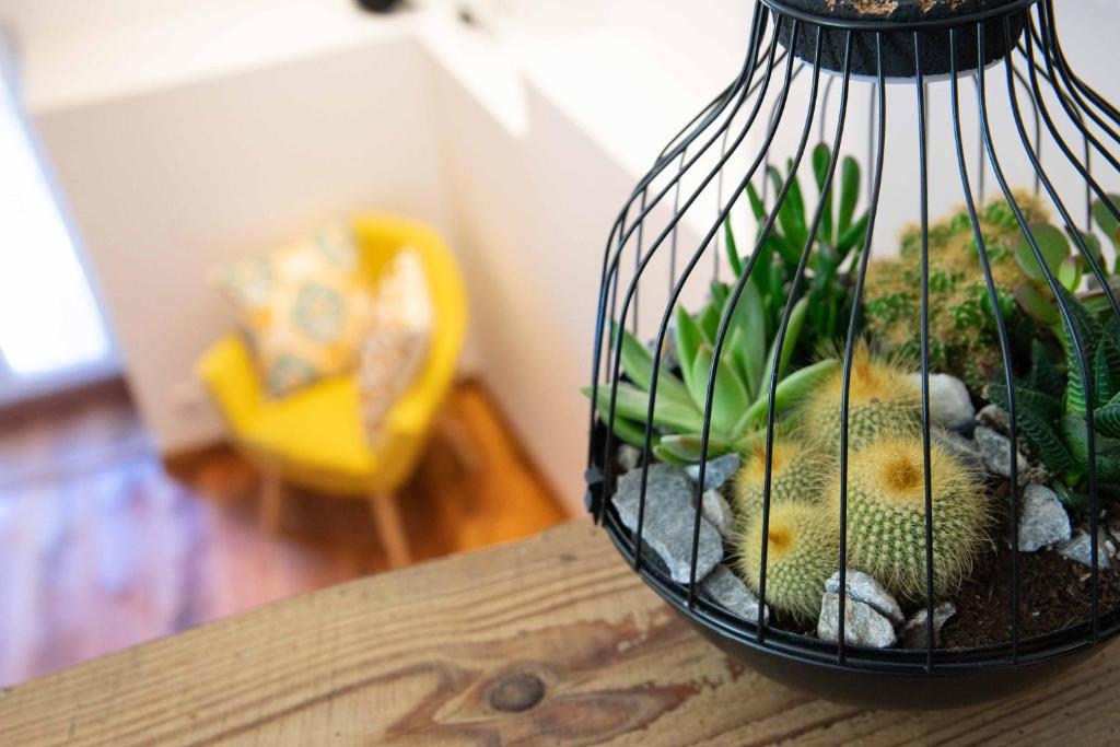 a bird cage with a stuffed animal in it on a table at Appartement atypique au coeur des Alpes in Barraux