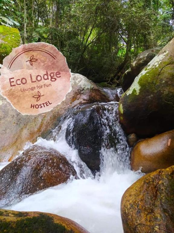 EcoLodge Hostel