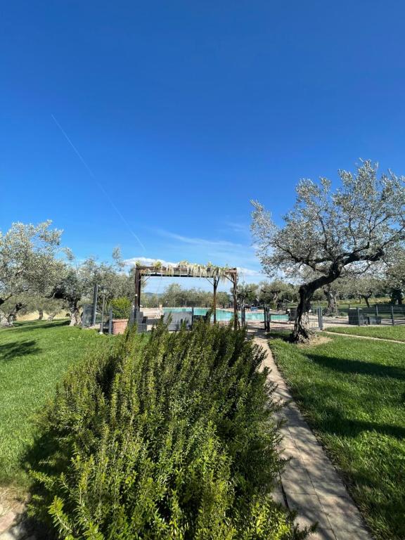 a bush in a park with a tree at Agriturismo La Rustica in Cerratina