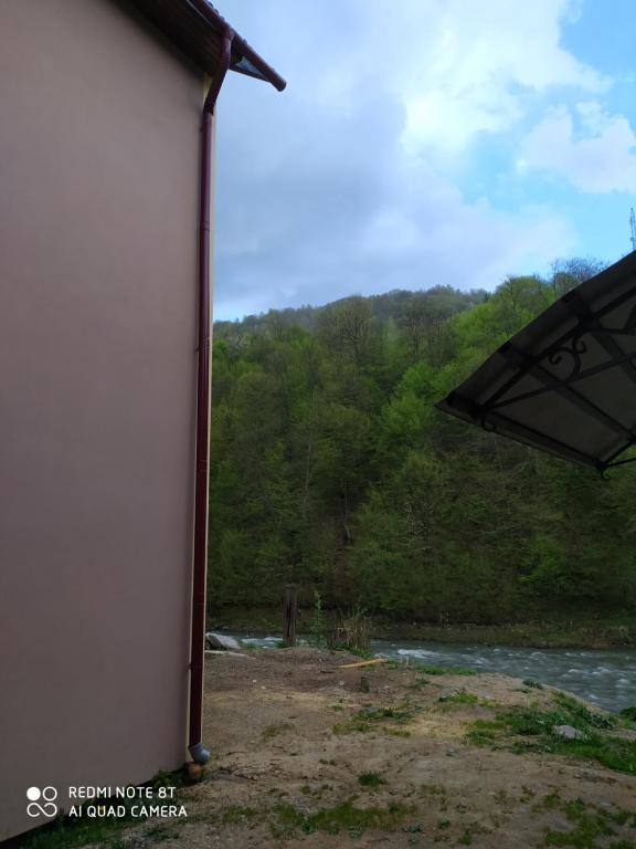 Příroda nedaleko apartmánu