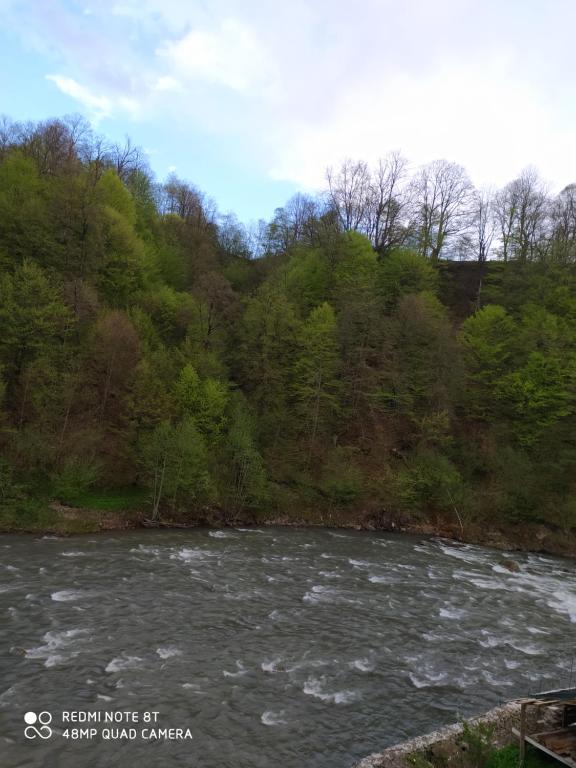 Příroda nedaleko apartmánu