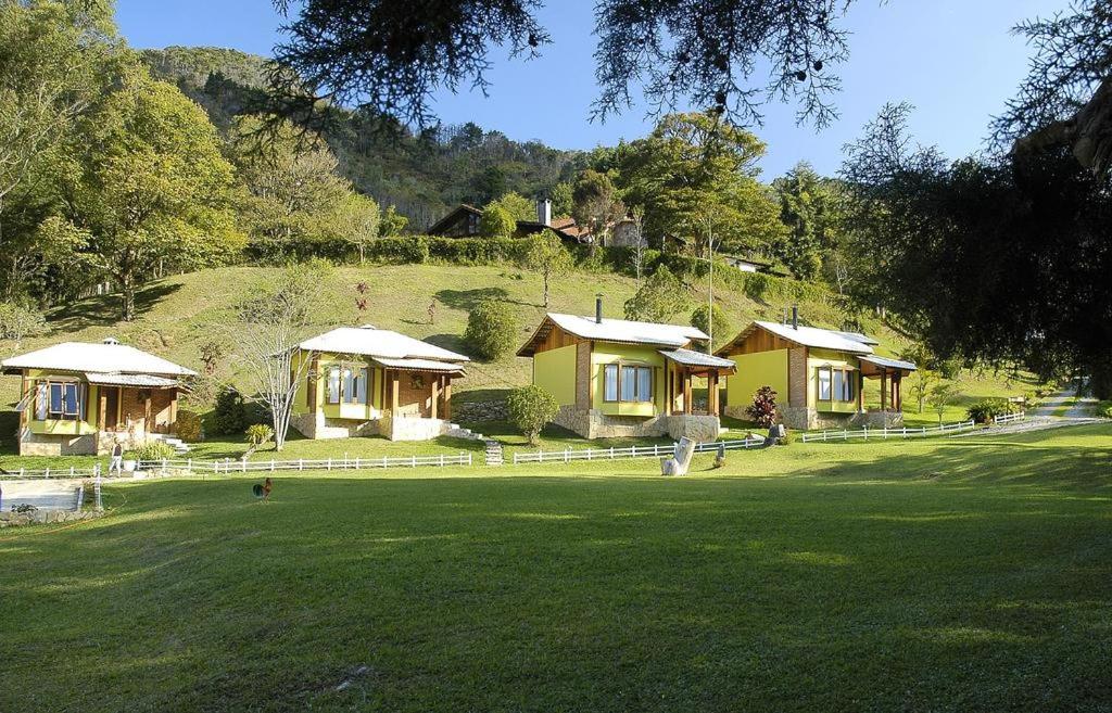  Um Lugar de Mato Verde