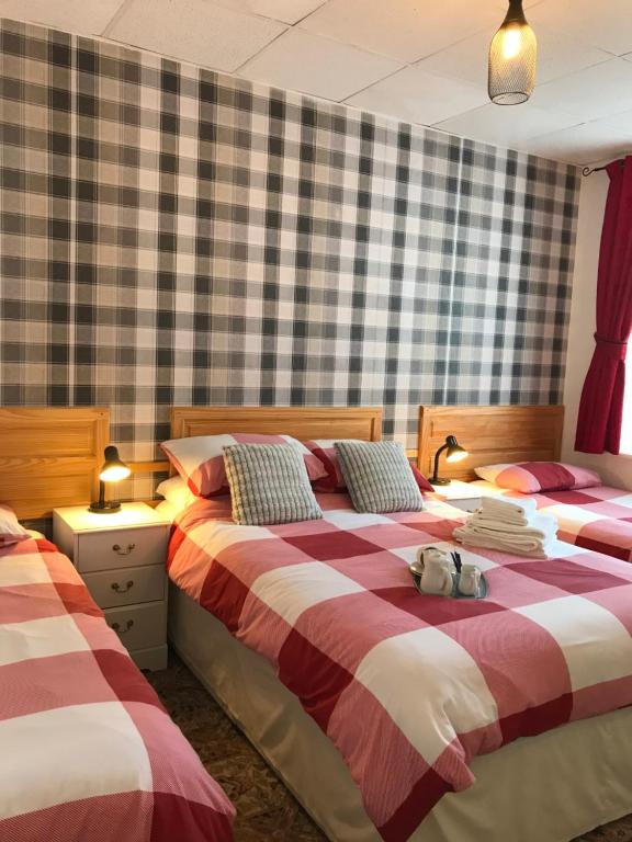 - une chambre avec 2 lits avec un chat dans l'établissement The Rutland, à Blackpool