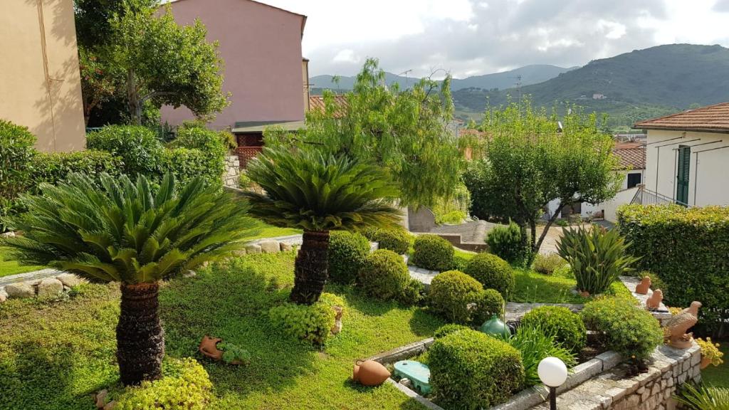 un jardín con palmeras y arbustos en un patio en appartamento la Pila en Marina di Campo