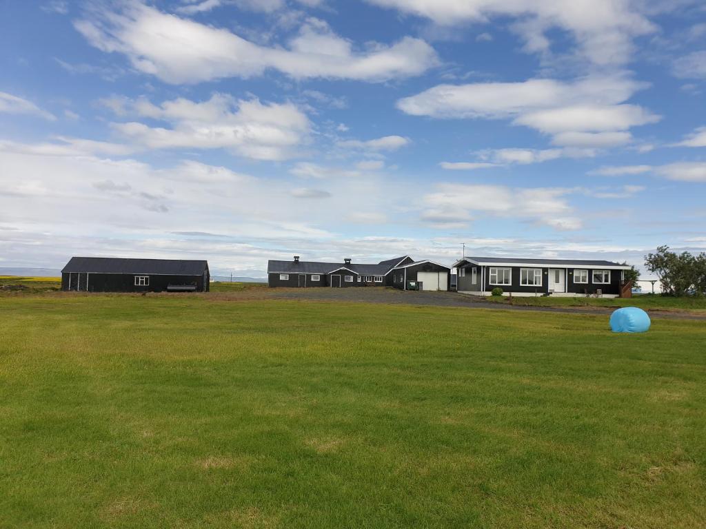 eine Gruppe von Häusern auf einem Feld mit blauem Ball in der Unterkunft Arctic Exclusive Ranch in Kirkjubæjarklaustur