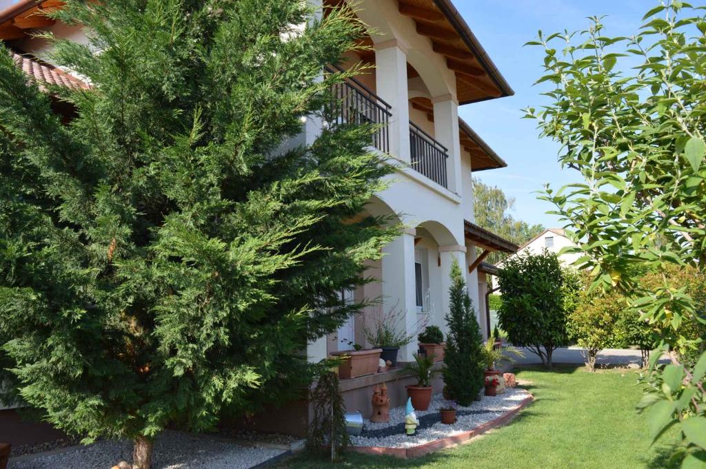 una casa con un árbol en el patio delantero en Apartment in Gyenesdias/Balaton 18809, en Gyenesdiás