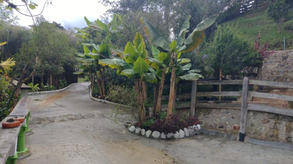 Fotografie z fotogalerie ubytování Hotel Selva Verde v destinaci Salento