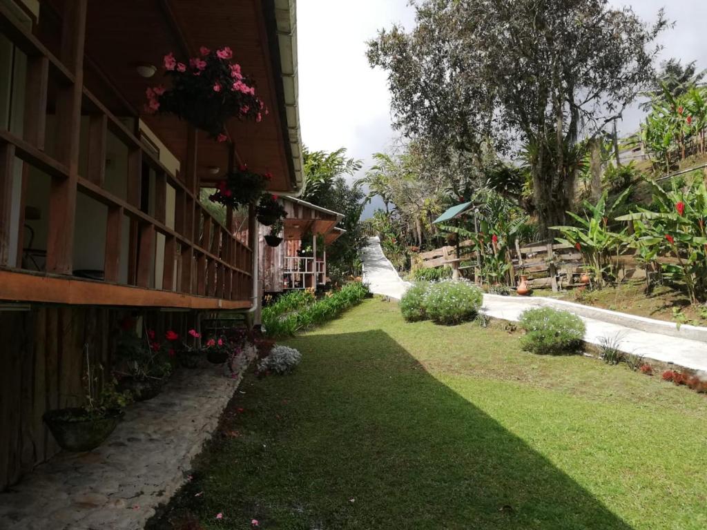 Zahrada ubytování Hotel Selva Verde