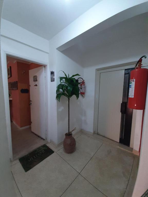  PEROLADOGUARUJA'