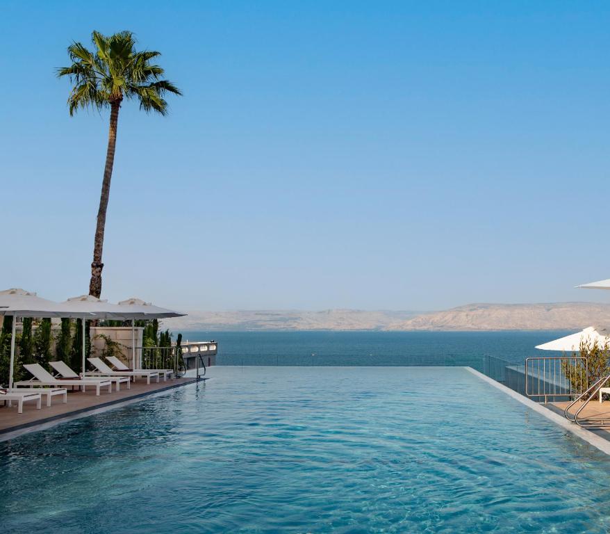 - une piscine avec un palmier et l'océan dans l'établissement Sofia Hotel Sea Of Galilee, à Tibériade