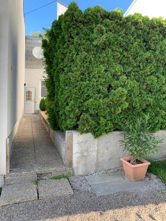 revLIVING Haus Clara am Berg mit kleinem Garten - 两居室房屋