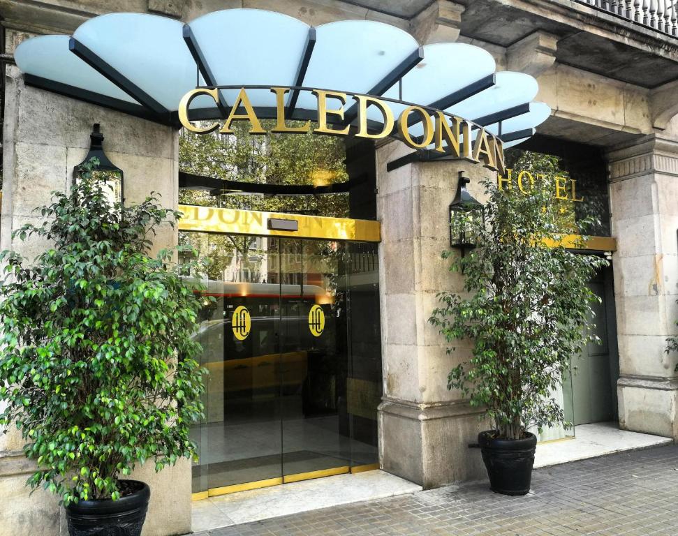 una tienda frente a un edificio con dos árboles delante en Caledonian, en Barcelona