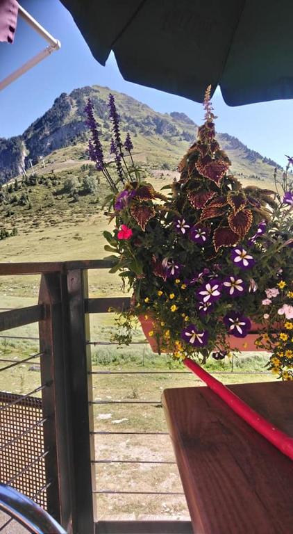 un pot de fleurs suspendu à une balustrade avec une montagne dans l'établissement Studio sur les pistes, à Bagnères-de-Bigorre