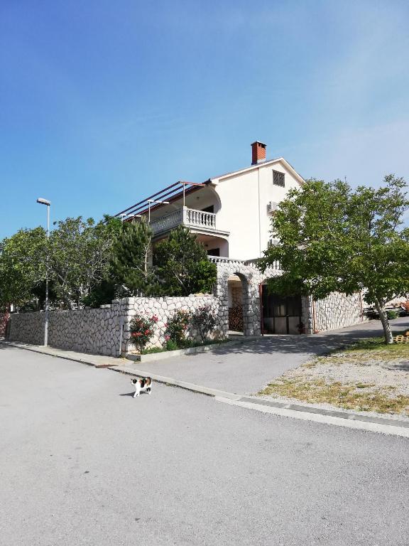 a cat walking down a street in front of a house at Sobe Apartma Galic in Novi Vinodolski