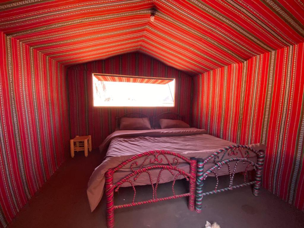 Momoo's Camp - Housity