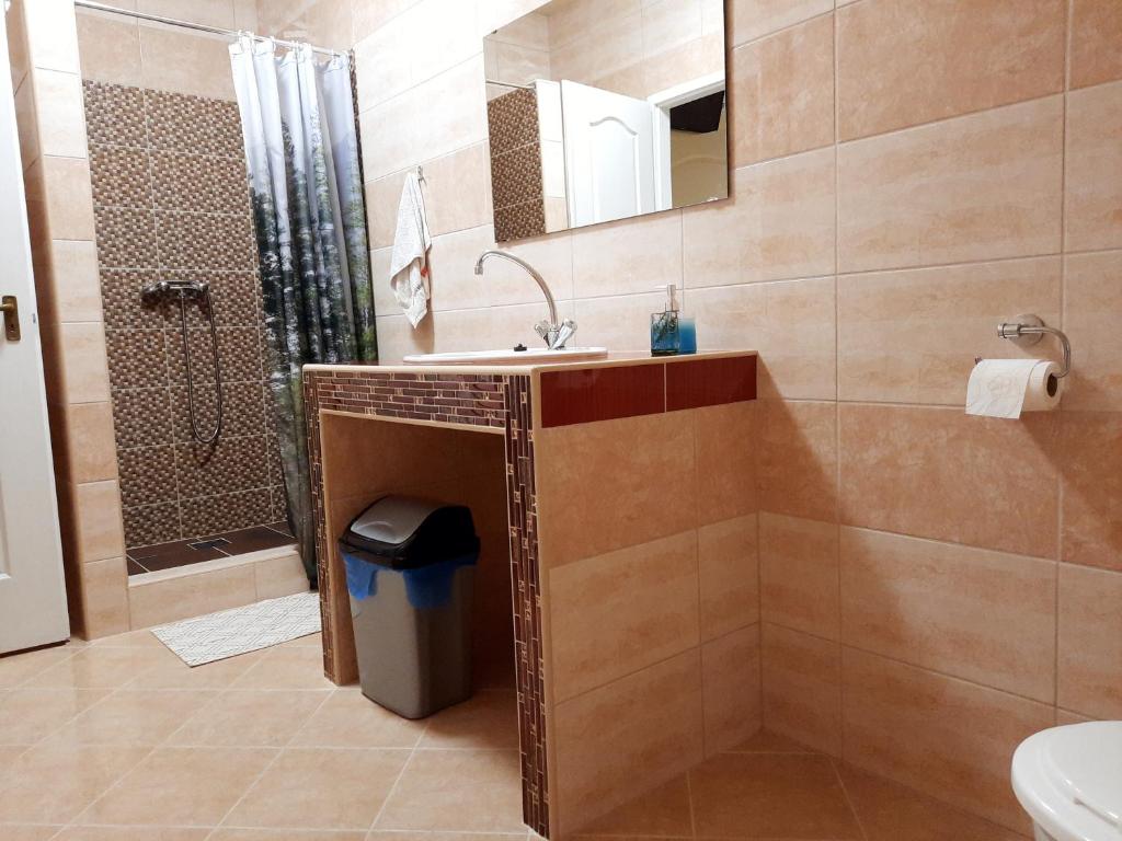 Kúpeľňa v ubytovaní Torony Lovarda Magánszállás
