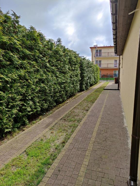 Zahrada ubytování Villa Joanna