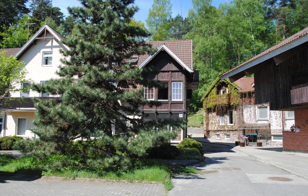 a house with a tree in front of it at Apartamentai Juodkrantėje in Juodkrantė