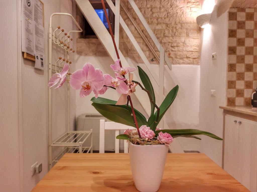 Mirum Apuliae 16 - 17