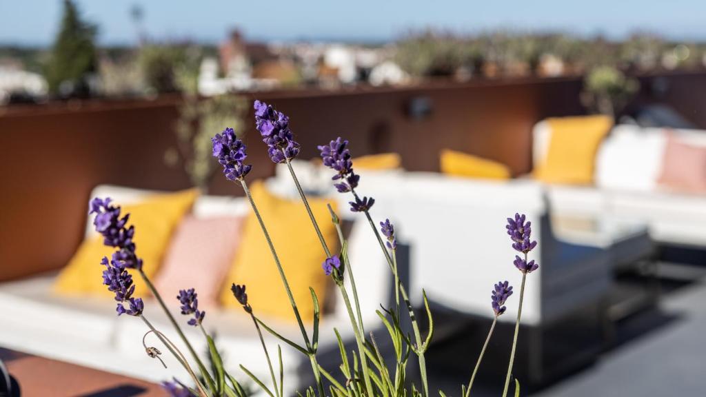 Vitoria Stone Hotel - Resim 32