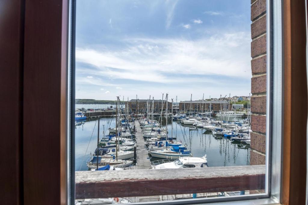 a view of a marina with boats in the water at Marina View - 3 Bedroom Apartment - Milford Marina in Milford Haven
