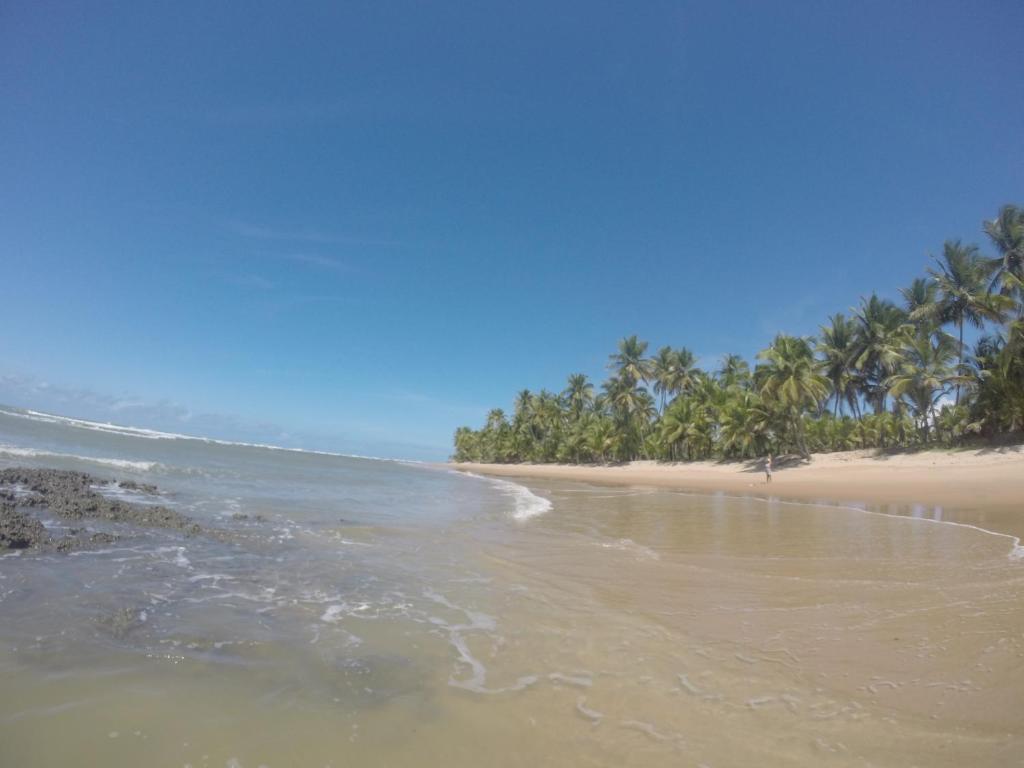  Flat Bahia Natural