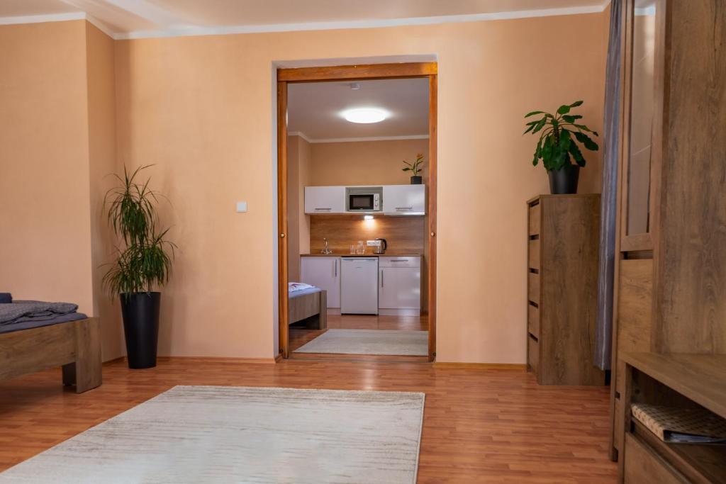 Kuchyň nebo kuchyňský kout v ubytování Apartmány V Mlýnské strouze