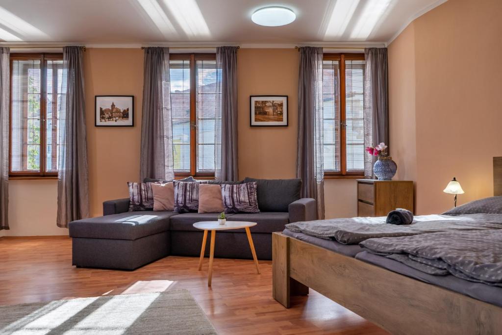 1 dormitorio con 1 cama y 1 sofá en Apartmány V Mlýnské strouze en Plzeň