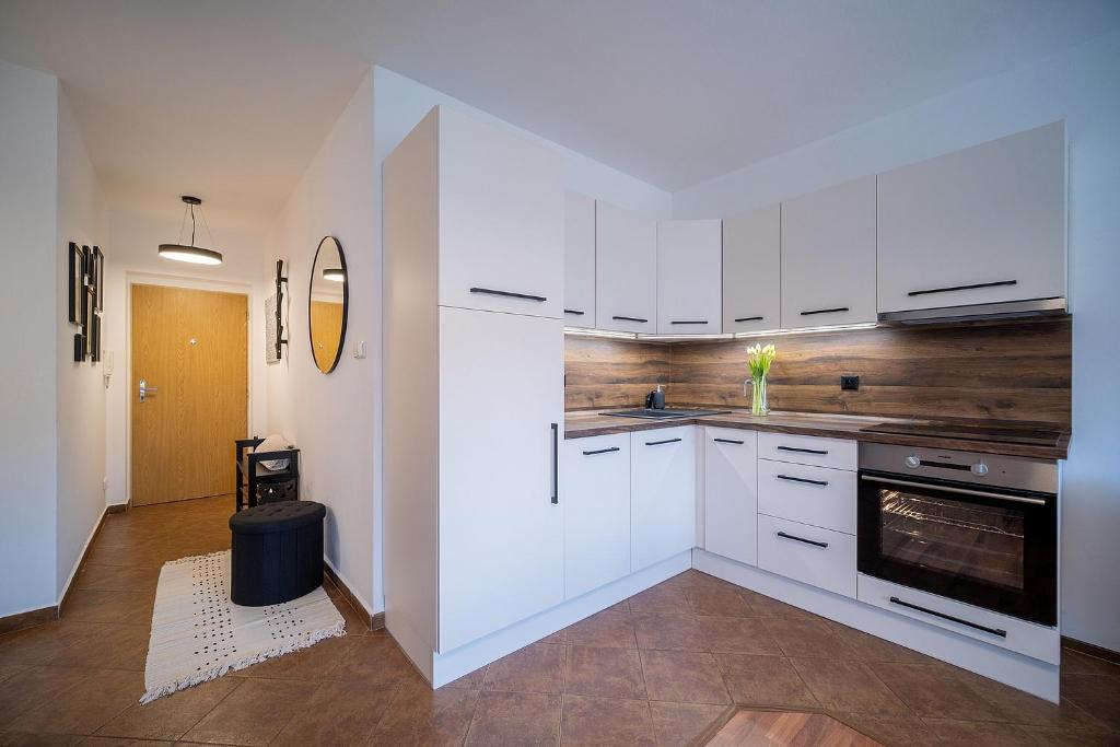 Kuchyň nebo kuchyňský kout v ubytování Apartmán U řeky