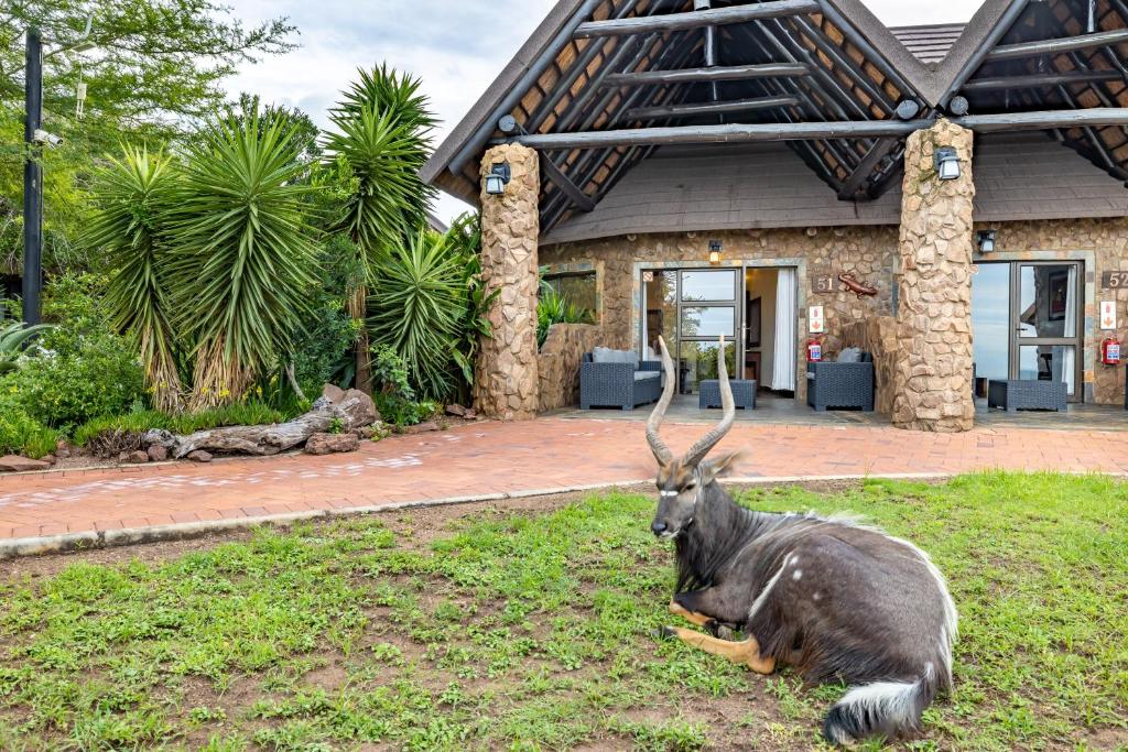 Booking.com: Zulu Nyala Game Lodge , Hluhluwe, Afrique du Sud - 149  Commentaires clients . Réservez votre hôtel dès maintenant !