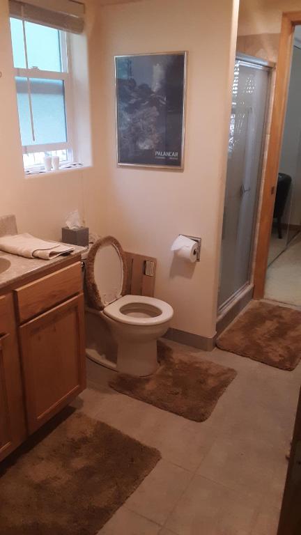 ein Badezimmer mit Toilette, Waschbecken und Dusche in der Unterkunft Winterfell Inn - No Xtra Fees, Dog OK, King & Queen Suites in Arnold