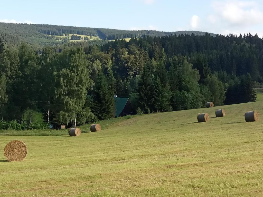 Příroda nedaleko hotelu