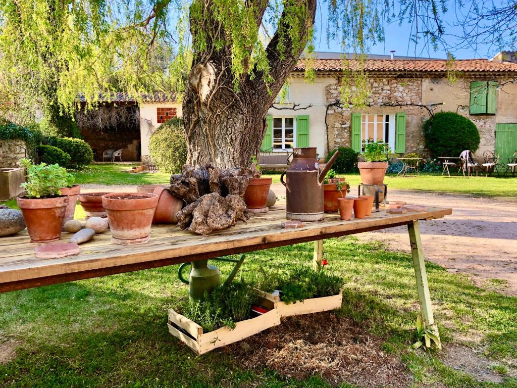 une table avec des plantes en pot à côté d'un arbre dans l'établissement Le Relais Notre Dame, à Quinson