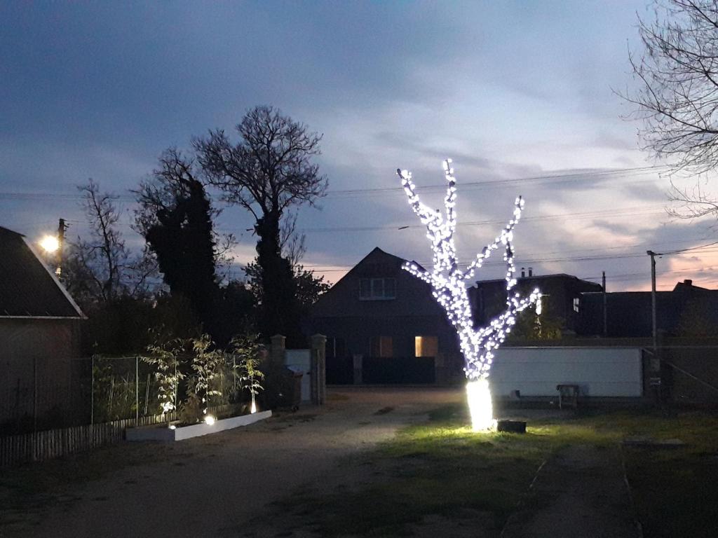 Fotografie z fotogalerie ubytování Hotel Jonik Land v destinaci Illičivsk