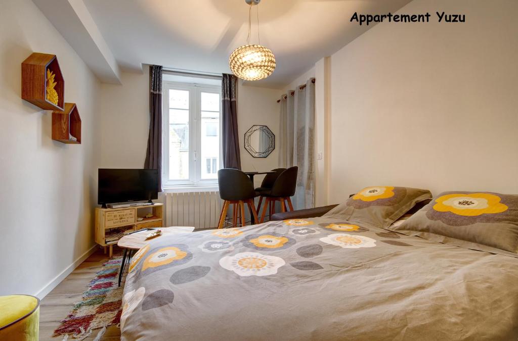 Appartements de caractère centre - Apartamento Yuzu