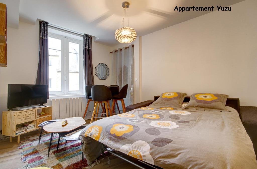 Gallery image of Appartements de caractère centre in Vannes