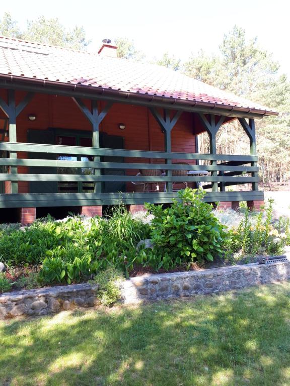 Domek pod brzozami Wynajem Pszczew - Housity