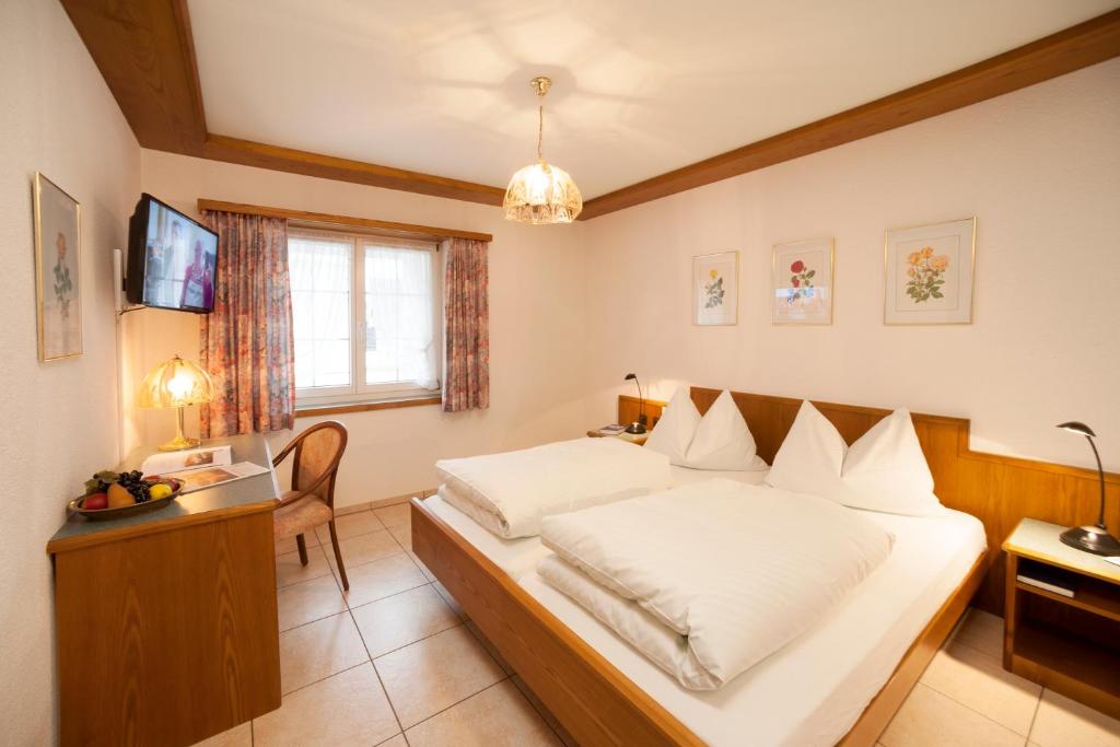 TV a/nebo společenská místnost v ubytování Hotel Landgasthof Hirschen