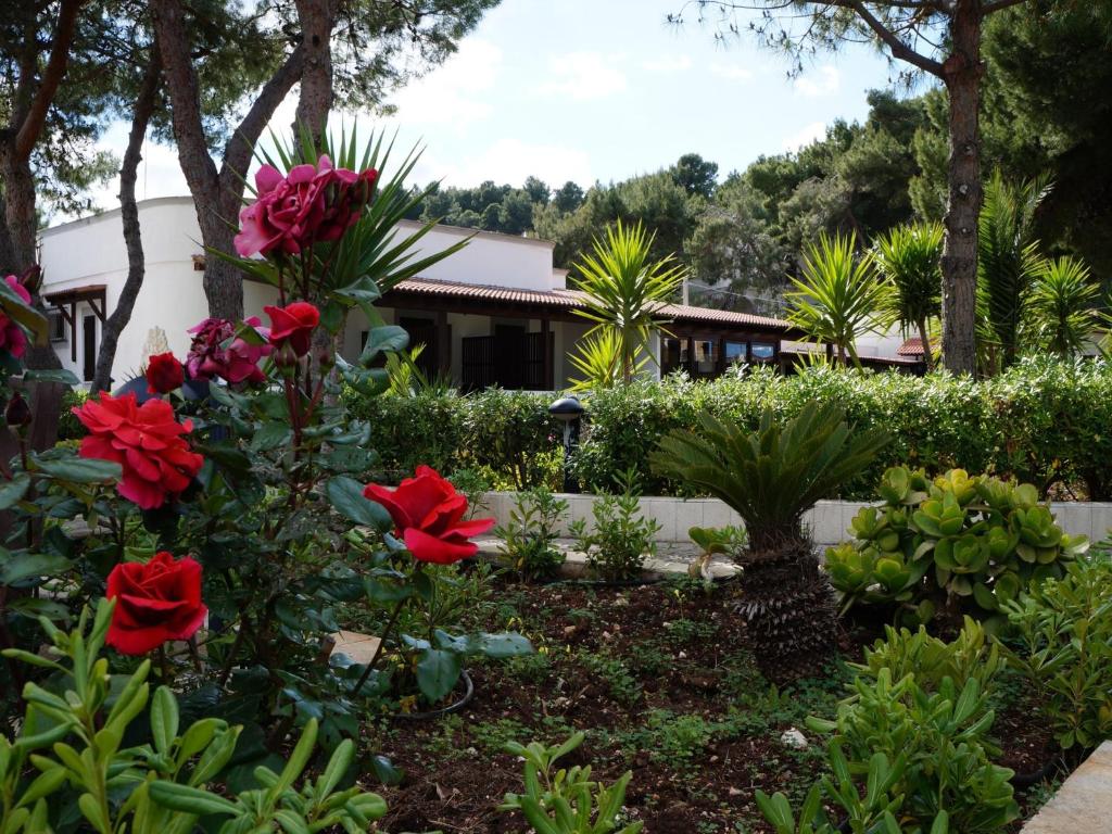Zahrada ubytování Hotel Parco Carabella