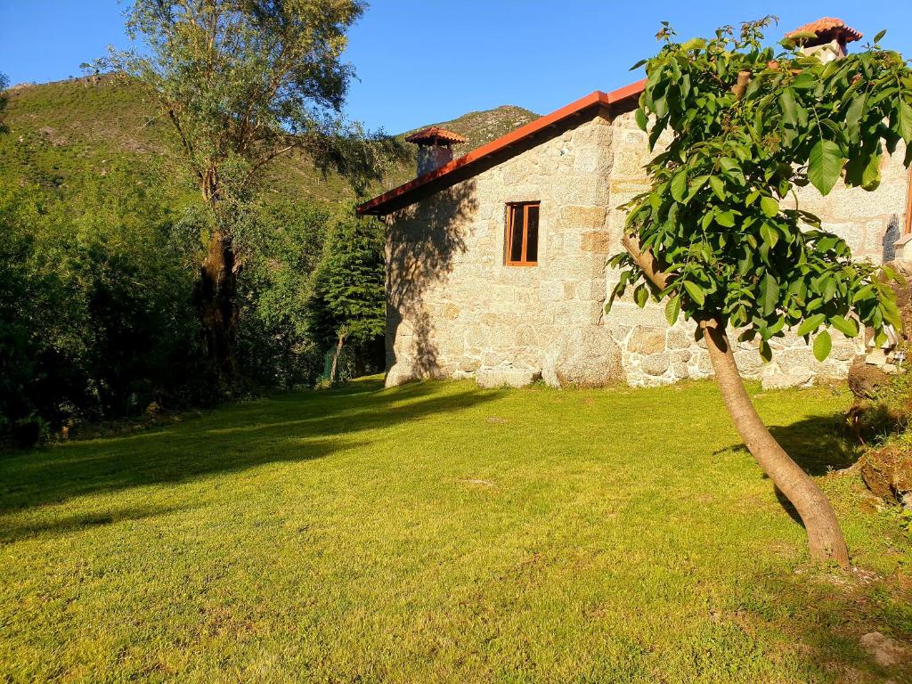 un bâtiment en pierre avec un arbre en face dans l'établissement Quinta da Casa dos Santos - Inside Gerês, à Gerês