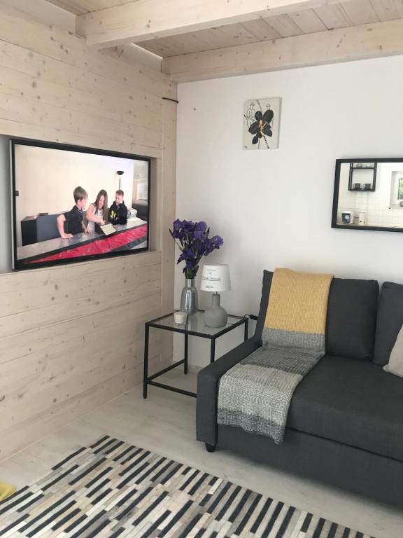 Televízia a/alebo spoločenská miestnosť v ubytovaní Angelit Stúdió Apartman