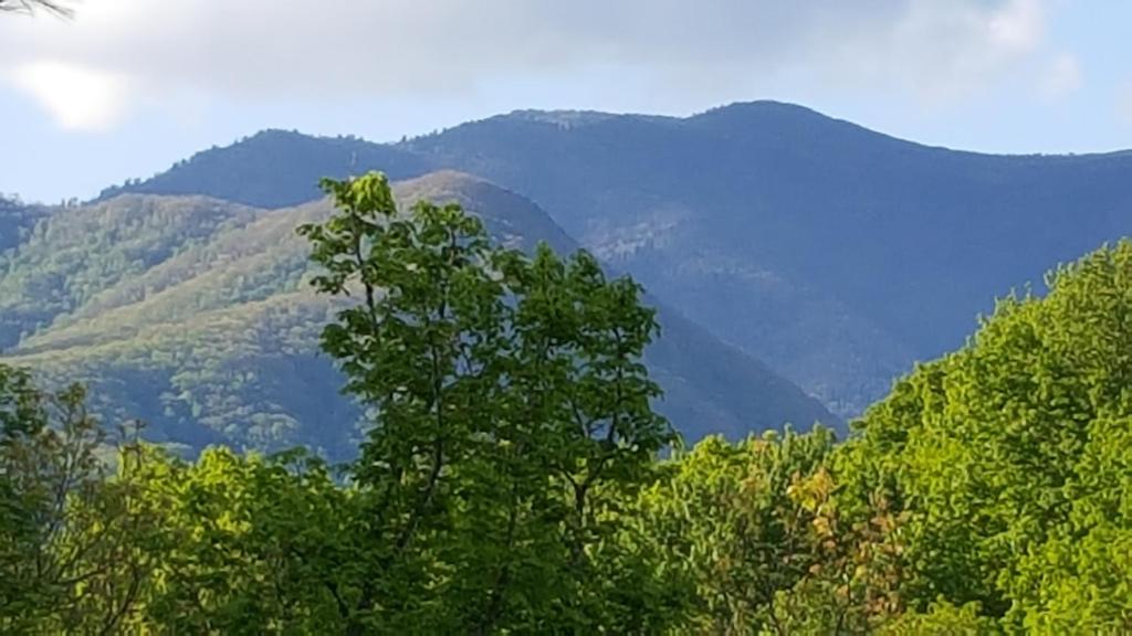 a view of auliculiculiculiculiculiculiculiculiculiculiculic at Mountain Serenity in Gatlinburg