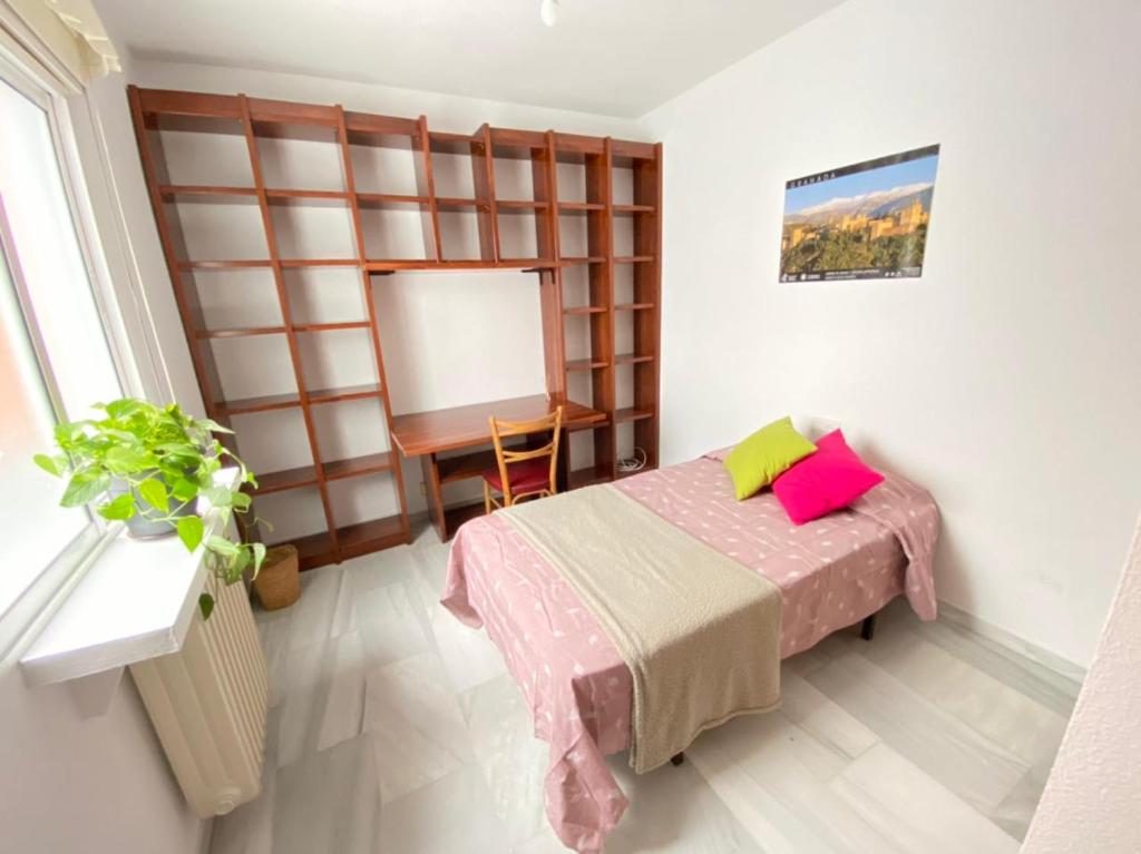 Pati perro, Granada – Precios actualizados 2022