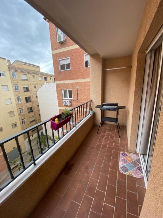 Pati perro, Granada – Precios actualizados 2022