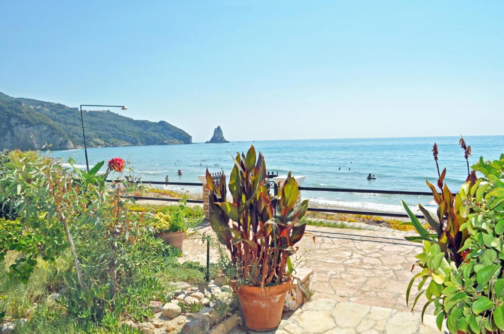 Táj Show holiday homes közelében